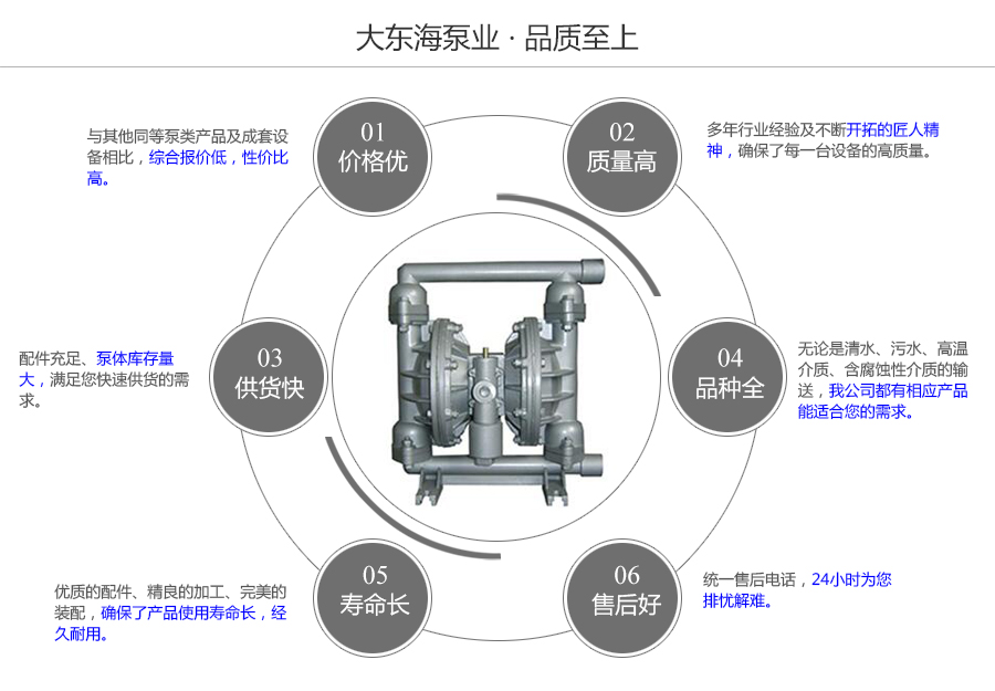 大東海泵業(yè)鑄鐵氣動(dòng)隔膜泵質(zhì)量保證圖