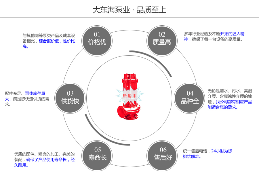 大東海泵業(yè)耐高溫污水泵質(zhì)量保證圖